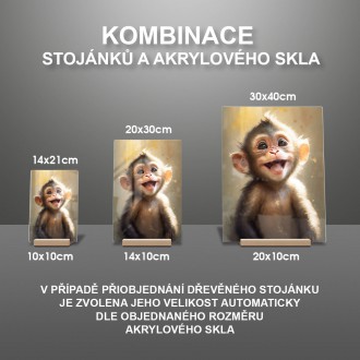 Akrylové sklo Akvarelová opice