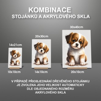 Akrylové sklo Malé štěně