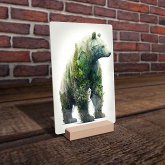 Akrylové sklo Přírodní medvěd