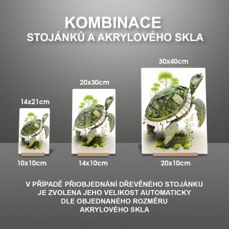 Akrylové sklo Přírodní želva