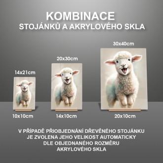 Akrylové sklo Akvarelová ovce