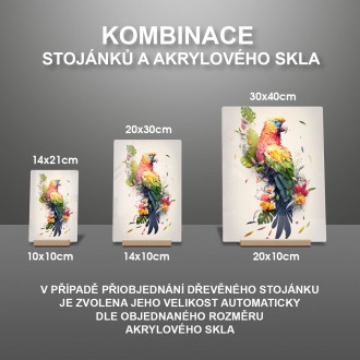 Akrylové sklo Květinový papoušek