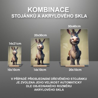Akrylové sklo Animovaný oslík