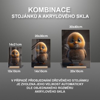 Akrylové sklo Animovaná kačenka