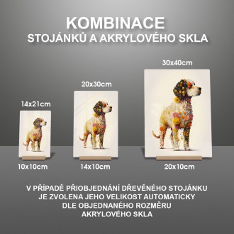Akrylové sklo Květinový pes
