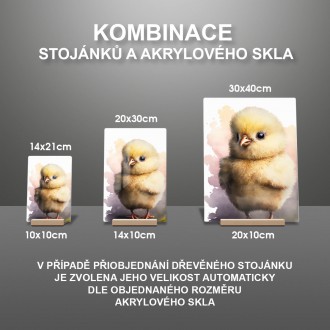 Akrylové sklo Akvarelové kuře