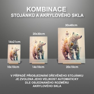Akrylové sklo Květinový medvěd