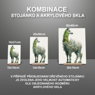 Akrylové sklo Přírodní lama