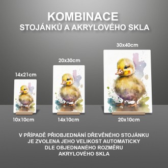 Akrylové sklo Akvarelová kachna