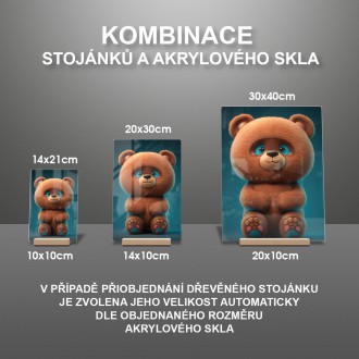 Akrylové sklo Animovaný medvídek