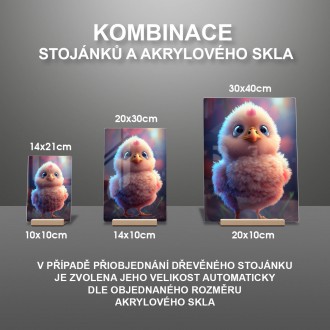 Akrylové sklo Roztomilé kuře