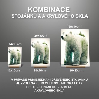 Akrylové sklo Přírodní lední medvěd