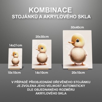 Akrylové sklo Malá kachna