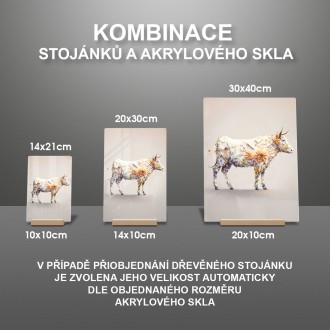 Akrylové sklo Květinová kráva