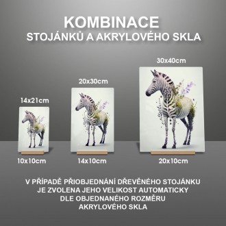 Akrylové sklo Květinová zebra