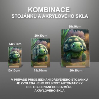 Akrylové sklo Animovaná želva