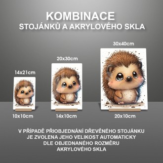 Akrylové sklo Malý ježek
