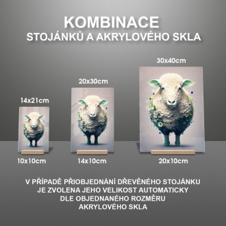 Akrylové sklo Květinová ovce