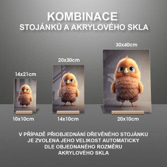 Akrylové sklo Animované kuře