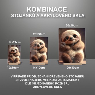 Akrylové sklo Animovaný lenochod