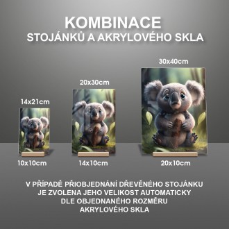 Akrylové sklo Roztomilá koala