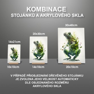 Akrylové sklo Přírodní žába