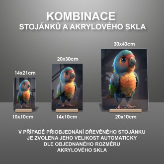 Akrylové sklo Roztomilý papoušek