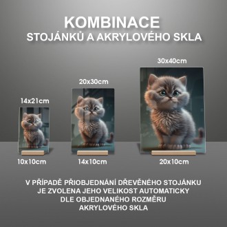 Akrylové sklo Animovaná kočička