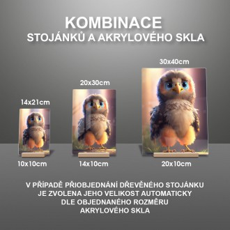 Akrylové sklo Roztomilý orel