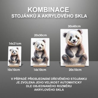 Akrylové sklo Akvarelová panda