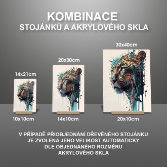 Akrylové sklo Graffiti levhart