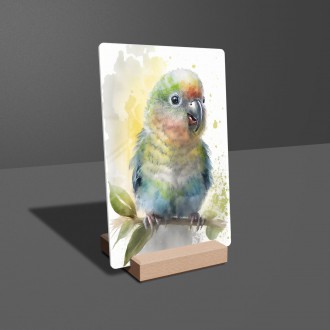 Akrylové sklo Akvarelový papoušek