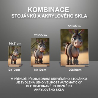 Akrylové sklo Roztomilý oslík