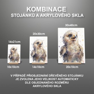 Akrylové sklo Akvarelový orel