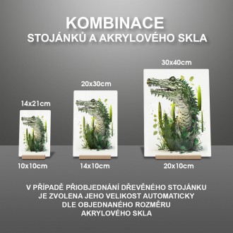 Akrylové sklo Přírodní krokodýl