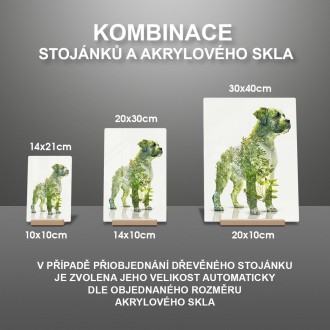 Akrylové sklo Přírodní pes