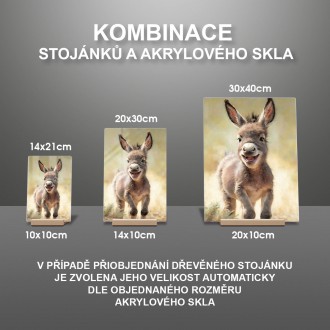 Akrylové sklo Akvarelový osel