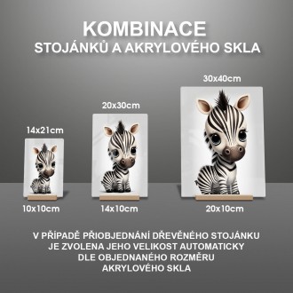 Akrylové sklo Malá zebra