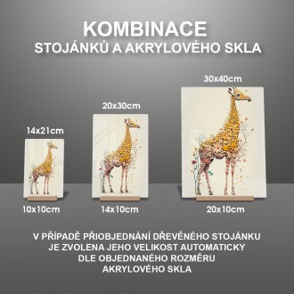 Akrylové sklo Květinové žirafa