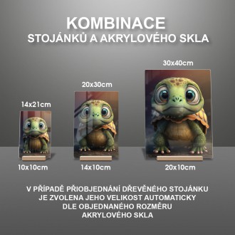 Akrylové sklo Roztomilá želva