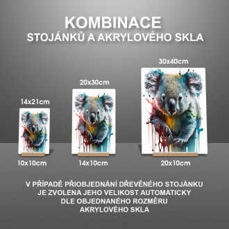 Akrylové sklo Graffiti koala