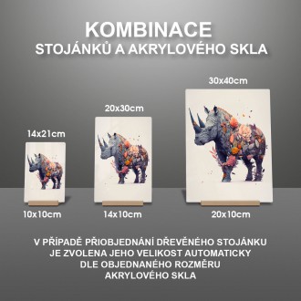 Akrylové sklo Květinový nosorožec