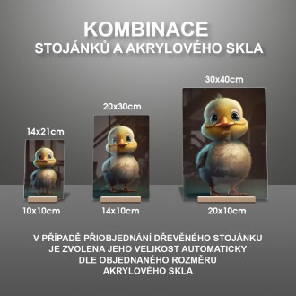 Akrylové sklo Roztomilá kačenka