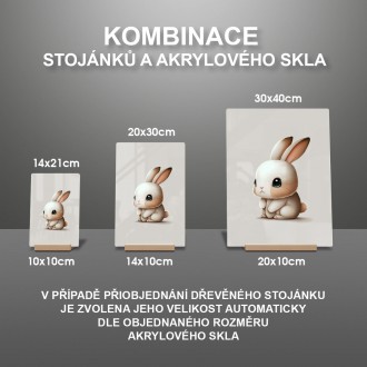Akrylové sklo Malý zajíc