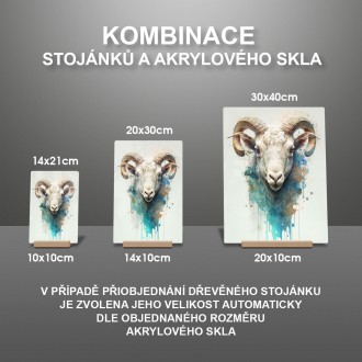Akrylové sklo Graffiti beran