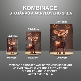 Akrylové sklo Animovaný koloušek