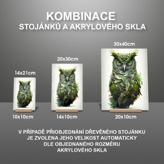 Akrylové sklo Přírodní sova