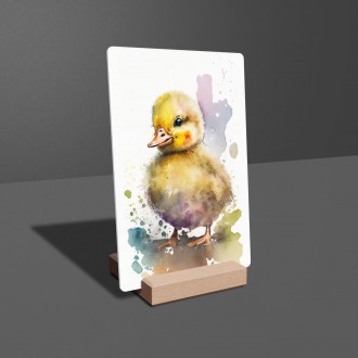 Akrylové sklo Akvarelová kachna
