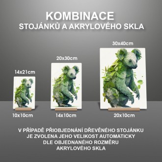 Akrylové sklo Přírodní koala
