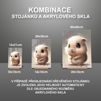 Akrylové sklo Malý křeček